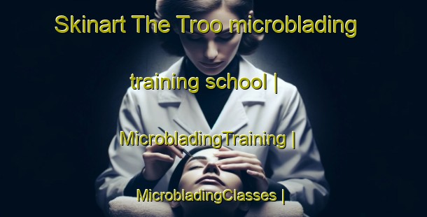 Skinart The Troo microblading training school | MicrobladingTraining | MicrobladingClasses | SkinartTraining-France